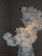 049_2009-0119-1146-10.jpg